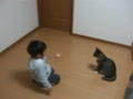 動画:猫に遊ばれる。