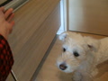 動画:引き出しが壊れた?