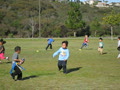 動画:mastersports